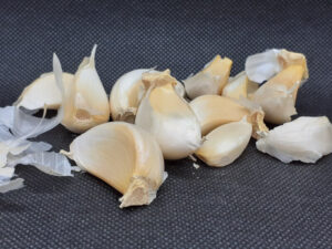 Garlic