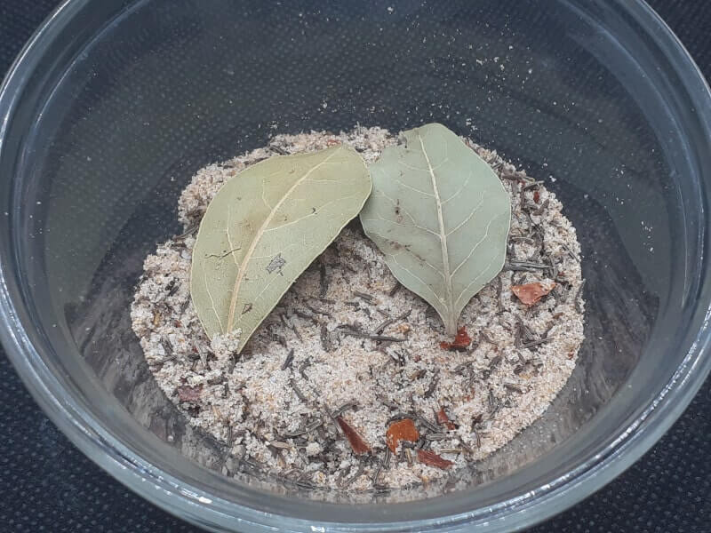 Kala Jeera Rice Seasoning