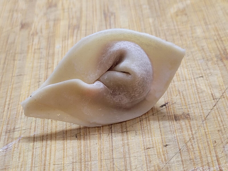 Wonton Folded