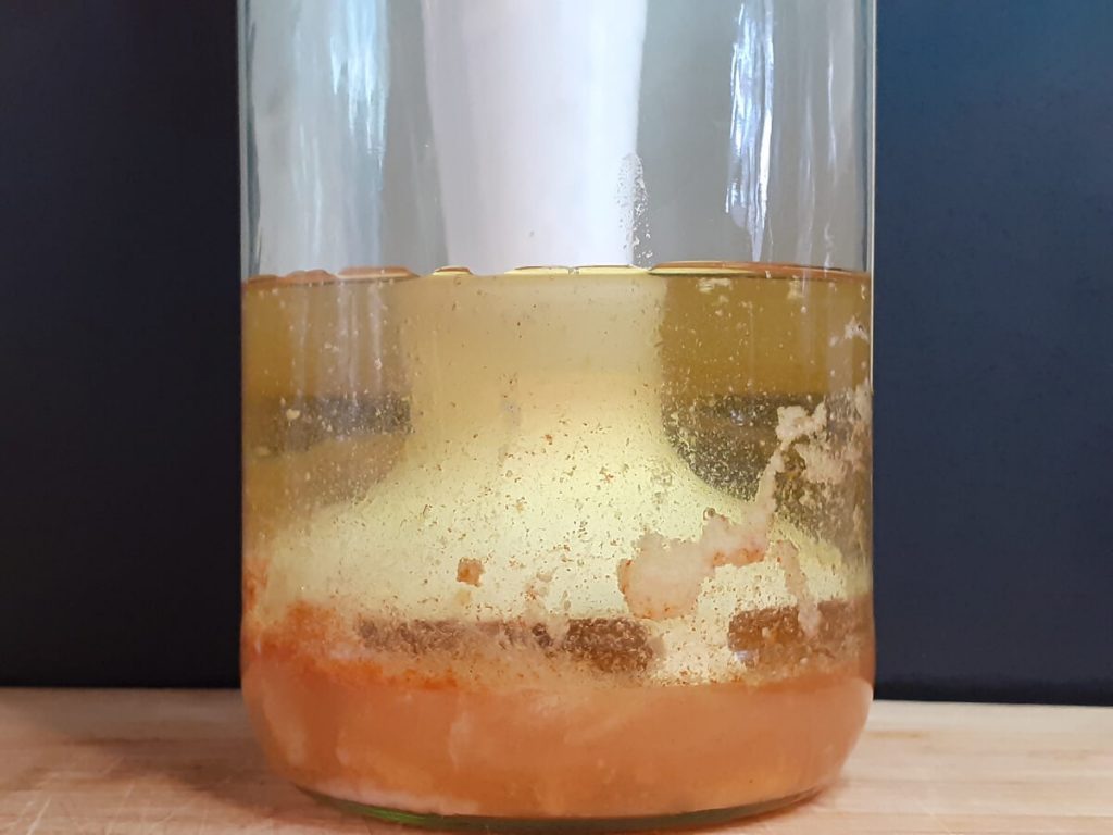 Homemade Mayo Immersion Blender