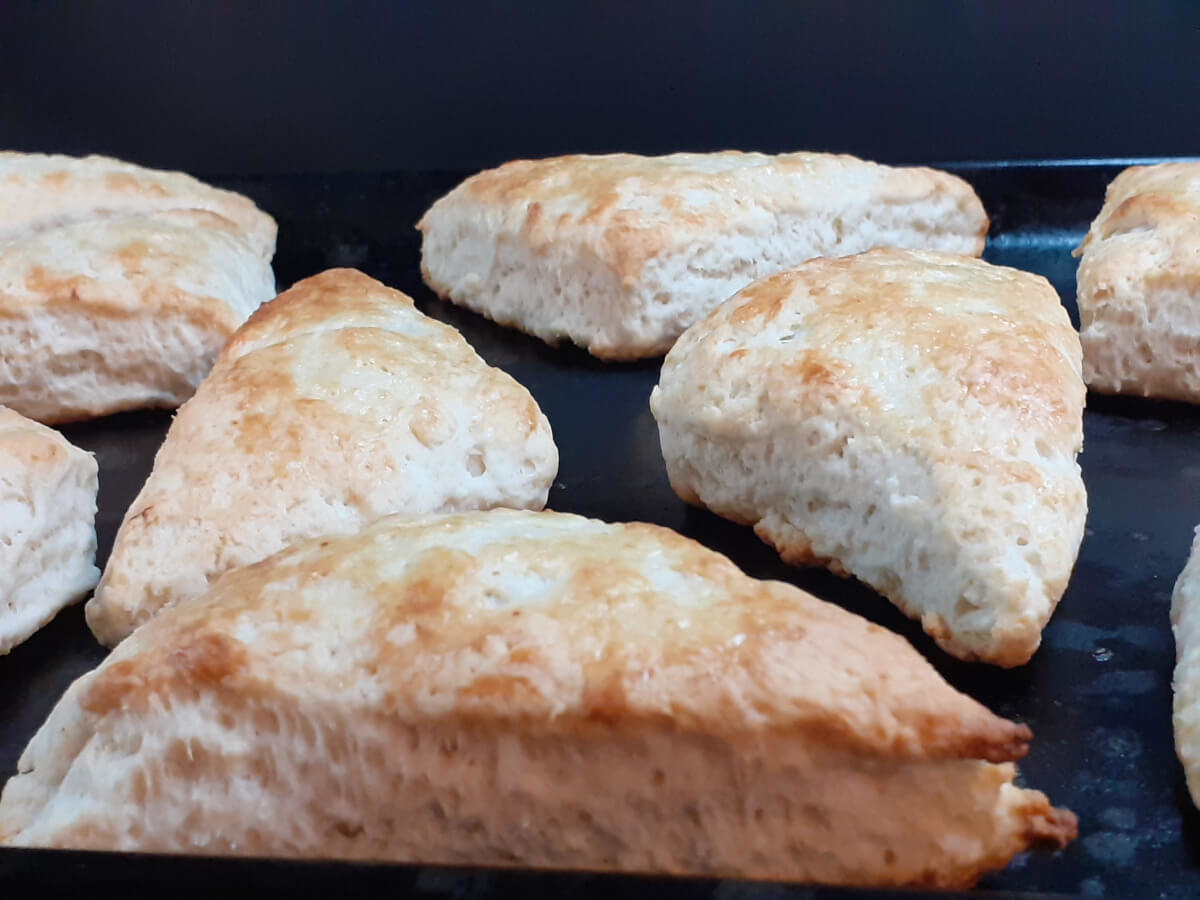 JAHZKITCHEN Oven Fresh Biscuits