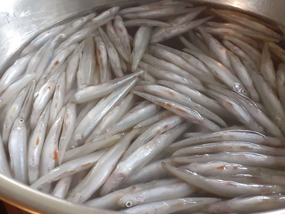 Soaking Smelt