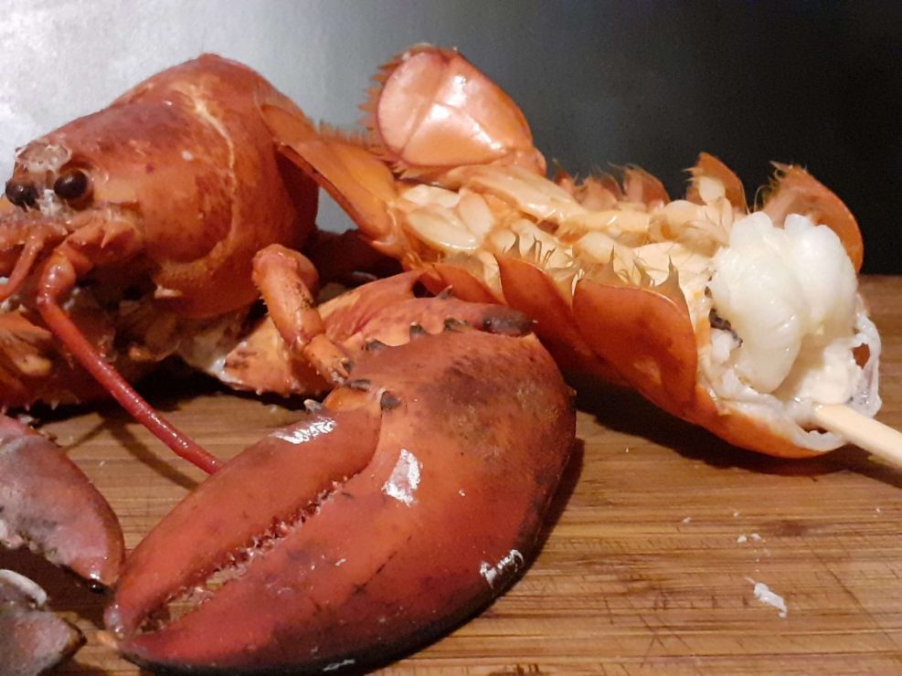 Cooked Lobster with Tail Skewered