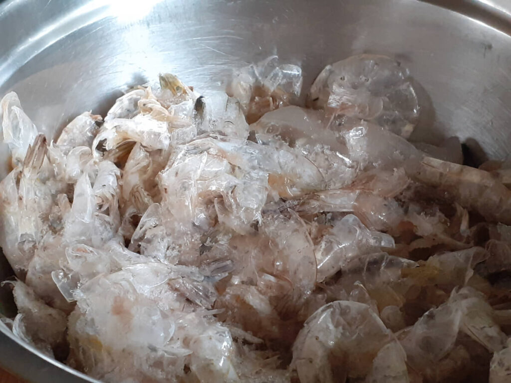 Shrimp Shells