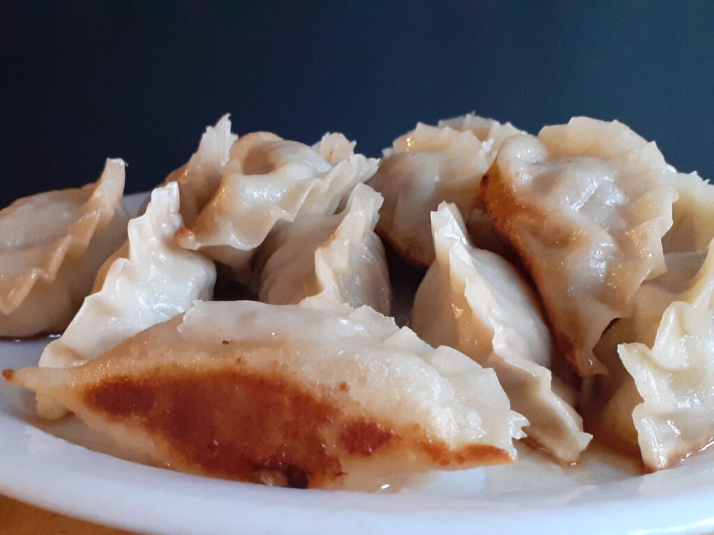 Fried and Steamed Dumplings