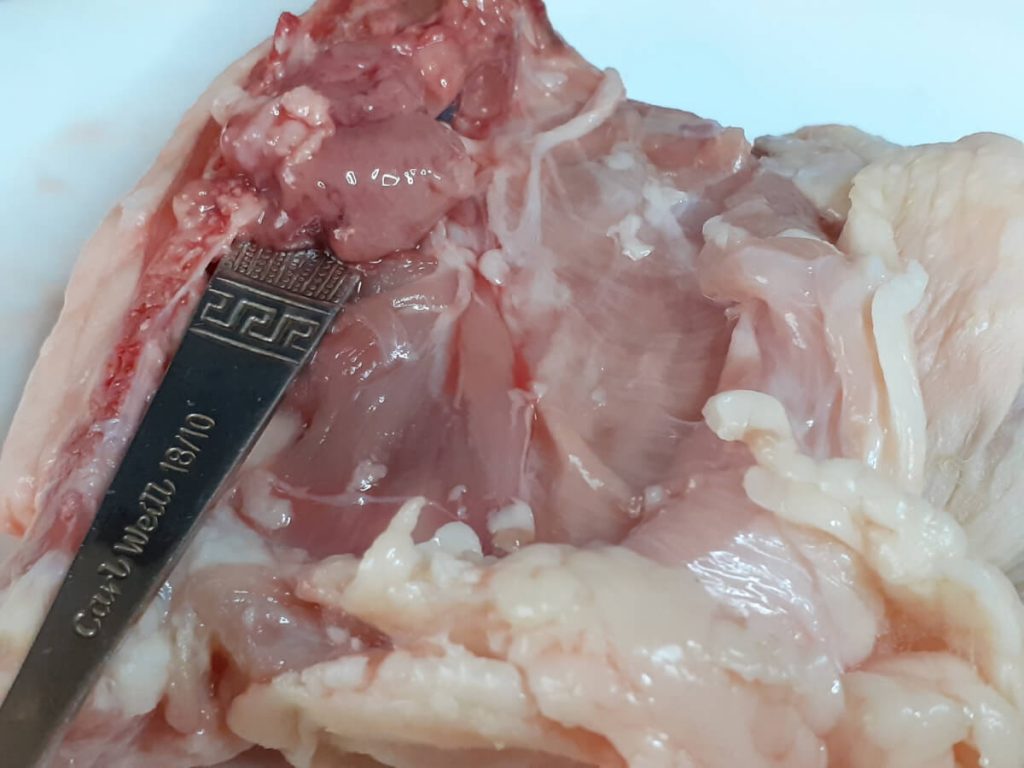 Cleaning Chicken Thigh Backbone