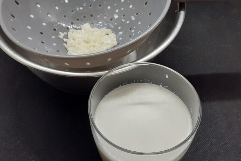 JAHZKITCHEN Kefir Drink and Grains