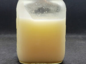 Side View White Beef Tallow